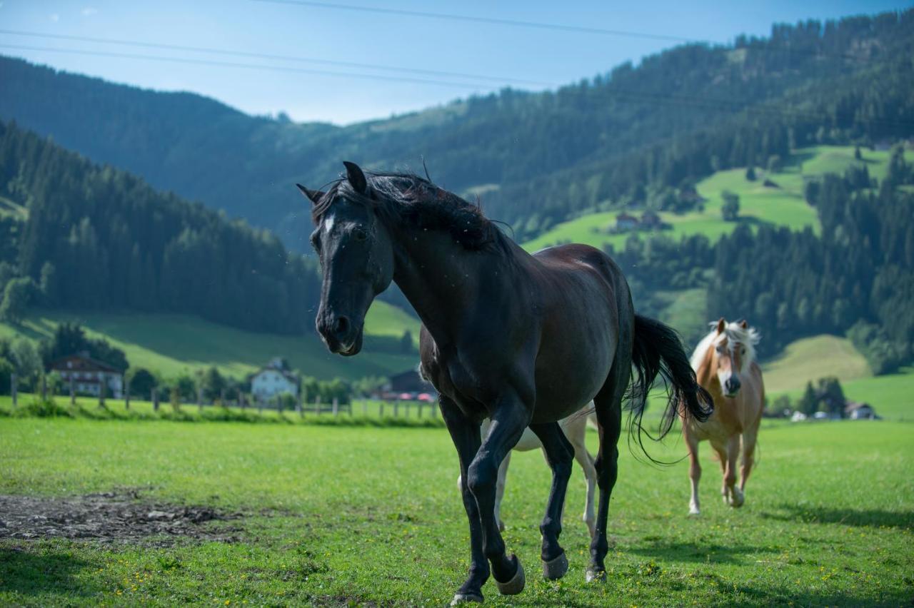 Ranstl Ferienwohnungen Флахау Экстерьер фото